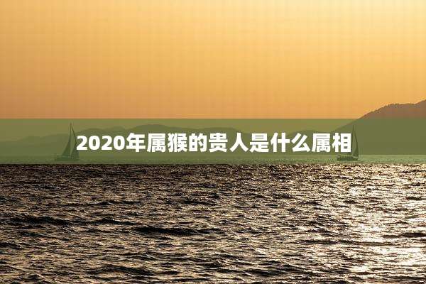 2020年属猴的贵人是什么属相
