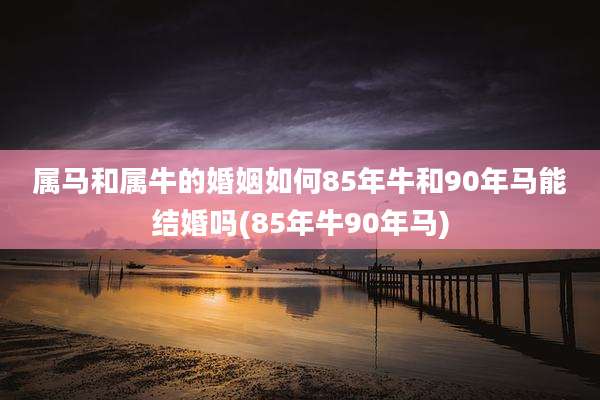 属马和属牛的婚姻如何85年牛和90年马能结婚吗(85年牛90年马)
