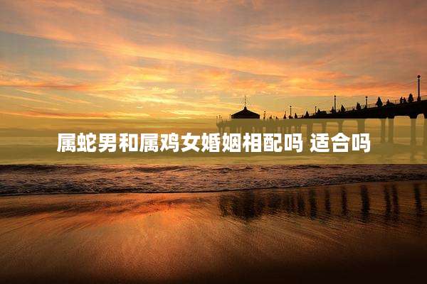 属蛇男和属鸡女婚姻相配吗 适合吗