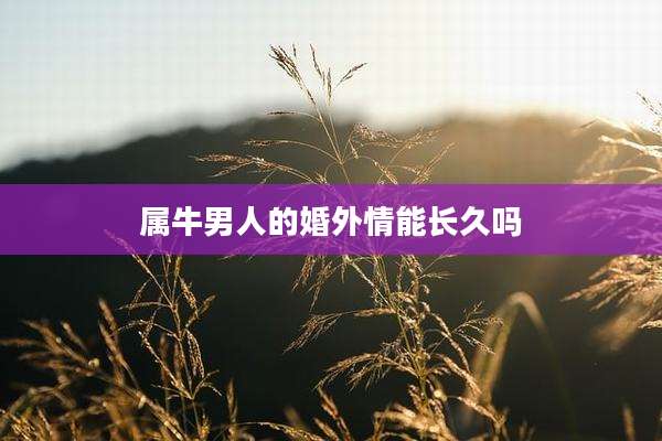 属牛男人的婚外情能长久吗