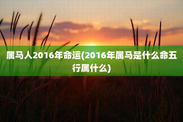 属马人2016年命运(2016年属马是什么命五行属什么)