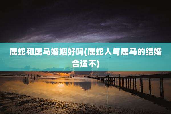 属蛇和属马婚姻好吗(属蛇人与属马的结婚合适不)