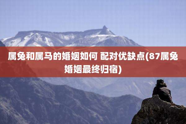 属兔和属马的婚姻如何 配对优缺点(87属兔婚姻最终归宿)