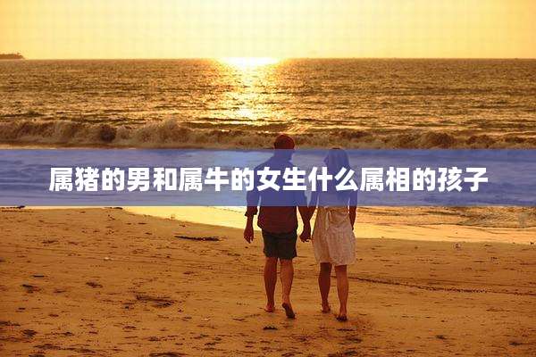 属猪的男和属牛的女生什么属相的孩子