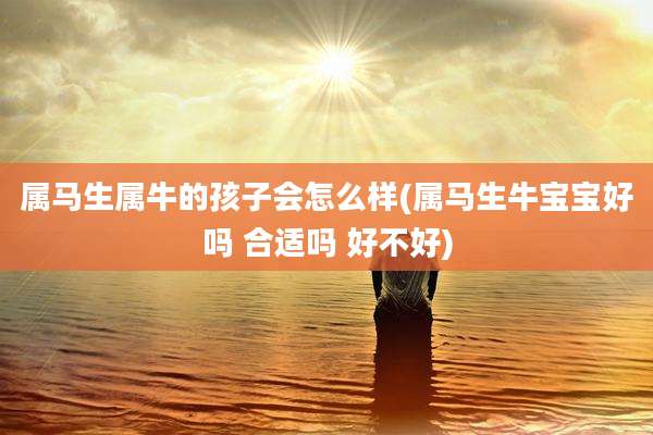 属马生属牛的孩子会怎么样(属马生牛宝宝好吗 合适吗 好不好)
