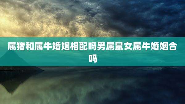 属猪和属牛婚姻相配吗男属鼠女属牛婚姻合吗