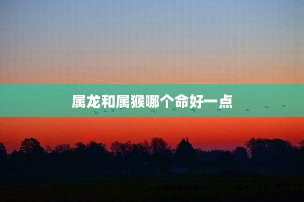 属龙和属猴哪个命好一点