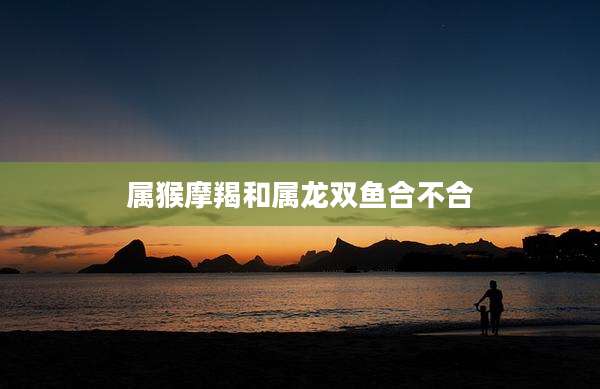 属猴摩羯和属龙双鱼合不合