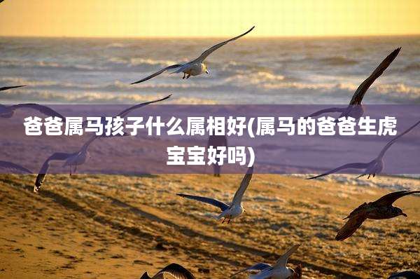 爸爸属马孩子什么属相好(属马的爸爸生虎宝宝好吗)