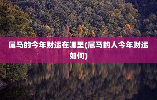 属马的今年财运在哪里(属马的人今年财运如何)