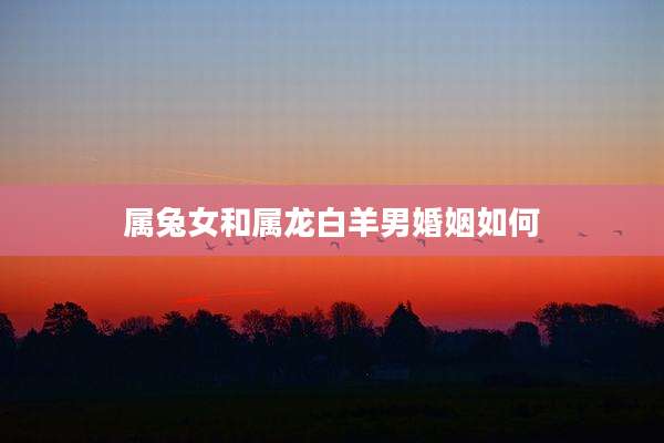 属兔女和属龙白羊男婚姻如何