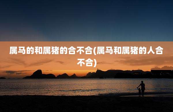 属马的和属猪的合不合(属马和属猪的人合不合)