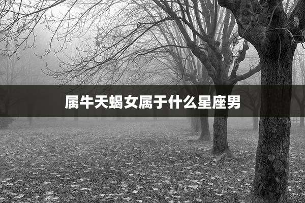 属牛天蝎女属于什么星座男