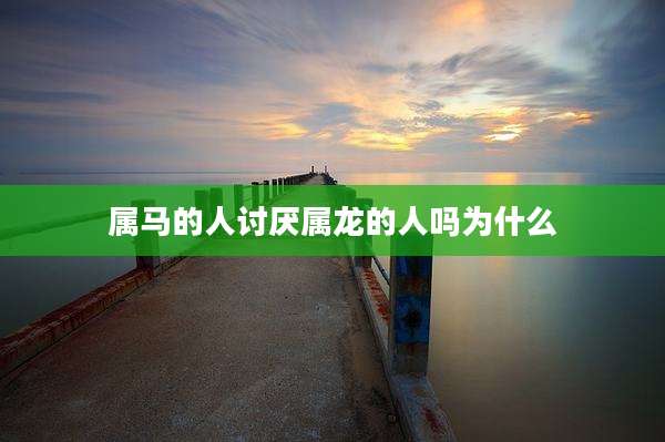 属马的人讨厌属龙的人吗为什么