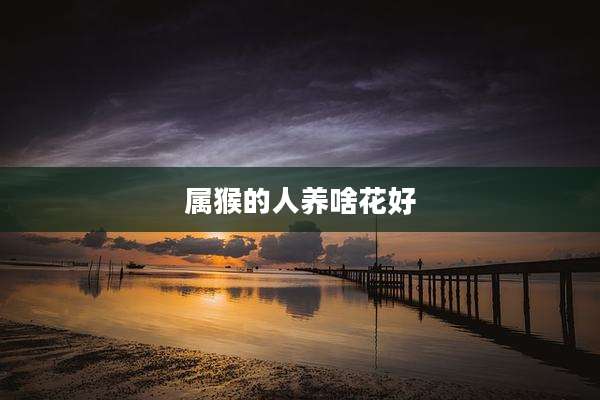 属猴的人养啥花好