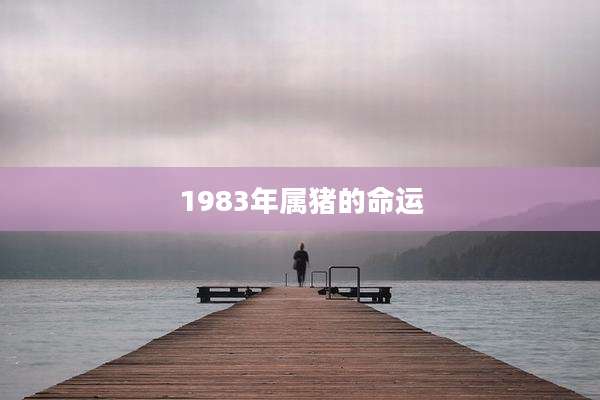 1983年属猪的命运