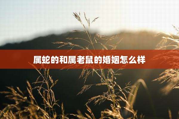 属蛇的和属老鼠的婚姻怎么样