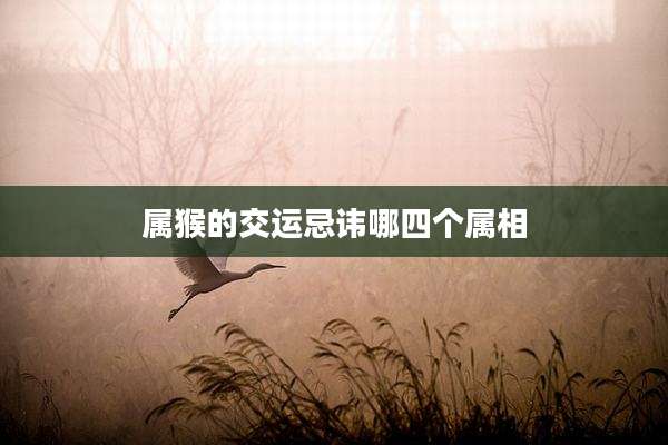 属猴的交运忌讳哪四个属相