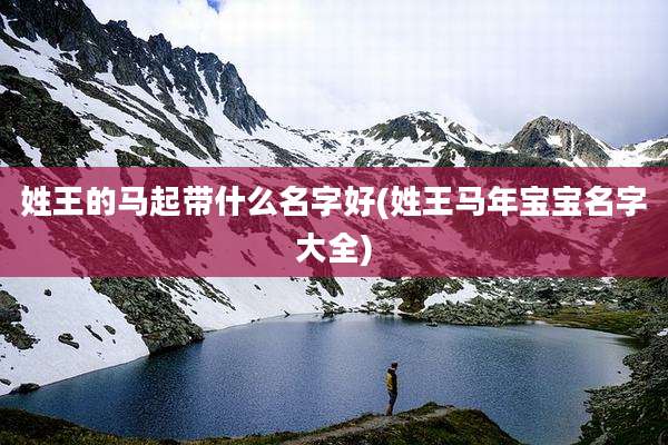 姓王的马起带什么名字好(姓王马年宝宝名字大全)