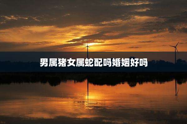 男属猪女属蛇配吗婚姻好吗