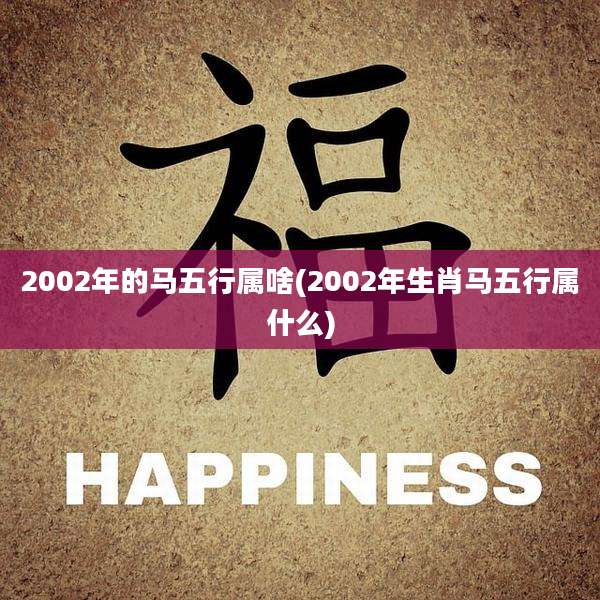 2002年的马五行属啥(2002年生肖马五行属什么)