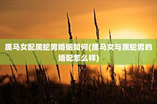属马女配属蛇男婚姻如何(属马女与属蛇男的婚配怎么样)