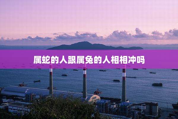 属蛇的人跟属兔的人相相冲吗