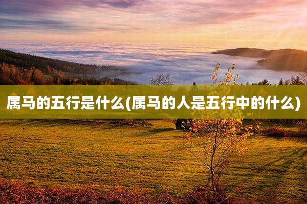 属马的五行是什么(属马的人是五行中的什么)