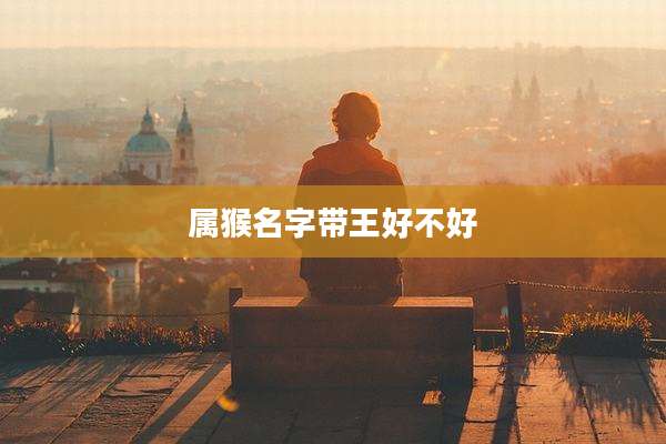 属猴名字带王好不好