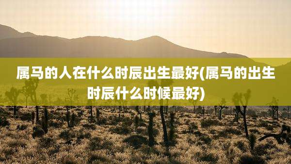 属马的人在什么时辰出生最好(属马的出生时辰什么时候最好)