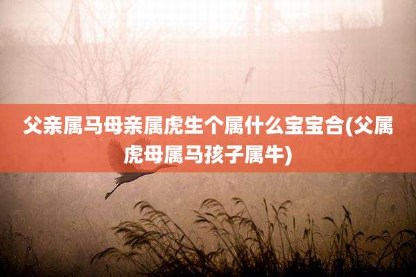 父亲属马母亲属虎生个属什么宝宝合(父属虎母属马孩子属牛)