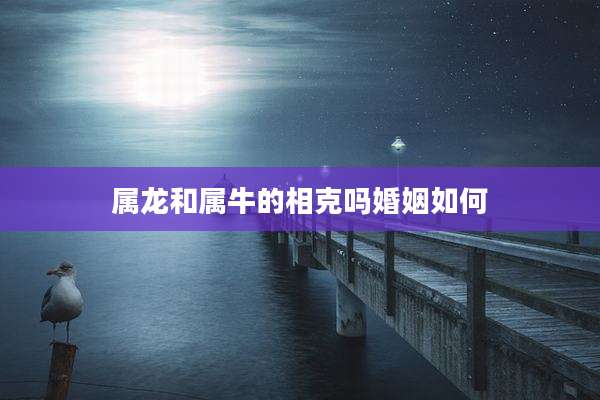 属龙和属牛的相克吗婚姻如何