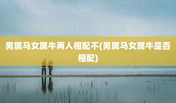 男属马女属牛两人相配不(男属马女属牛是否相配)