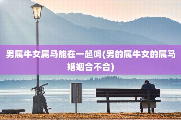 男属牛女属马能在一起吗(男的属牛女的属马婚姻合不合)