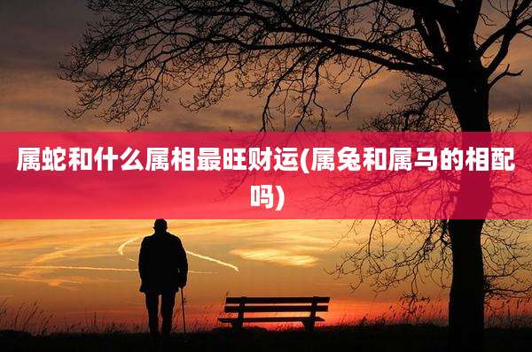 属蛇和什么属相最旺财运(属兔和属马的相配吗)