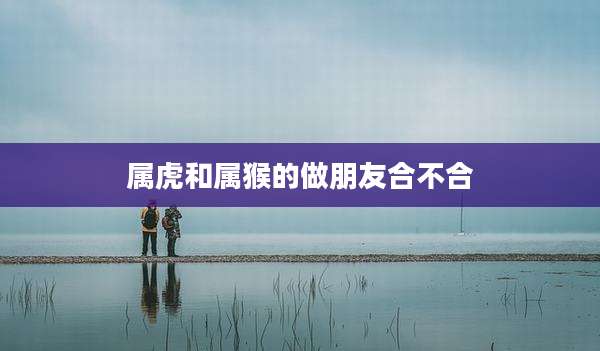 属虎和属猴的做朋友合不合