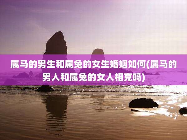 属马的男生和属兔的女生婚姻如何(属马的男人和属兔的女人相克吗)