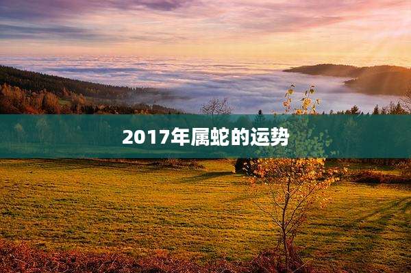 2017年属蛇的运势