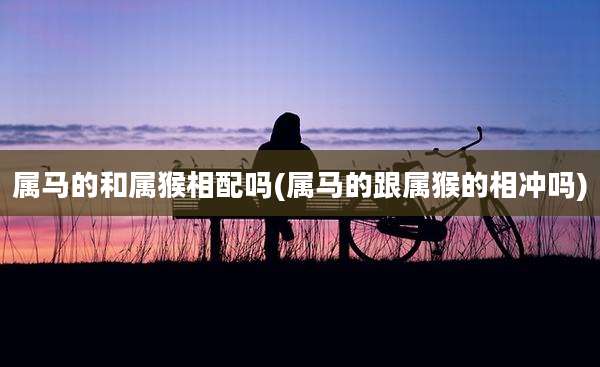 属马的和属猴相配吗(属马的跟属猴的相冲吗)