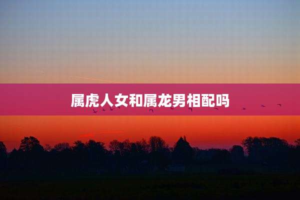 属虎人女和属龙男相配吗