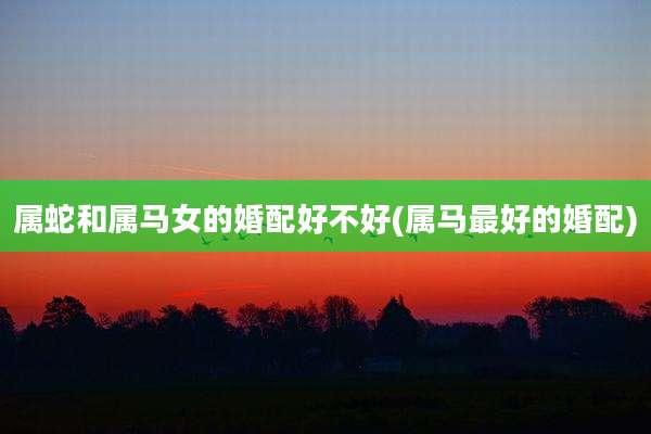 属蛇和属马女的婚配好不好(属马最好的婚配)
