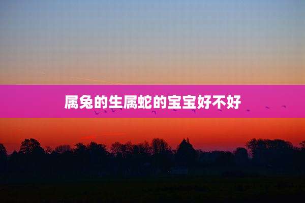 属兔的生属蛇的宝宝好不好