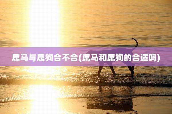 属马与属狗合不合(属马和属狗的合适吗)