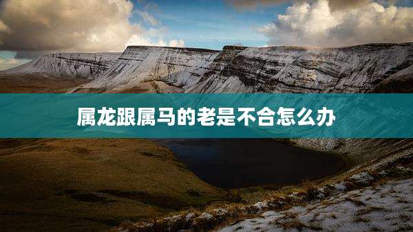 属龙跟属马的老是不合怎么办