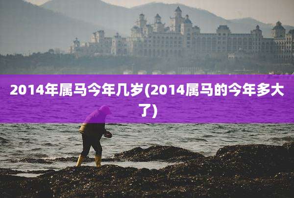 2014年属马今年几岁(2014属马的今年多大了)