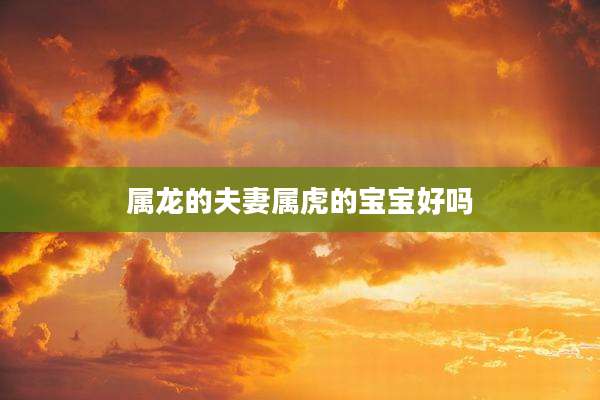属龙的夫妻属虎的宝宝好吗