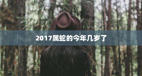 2017属蛇的今年几岁了