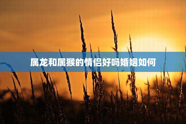 属龙和属猴的情侣好吗婚姻如何