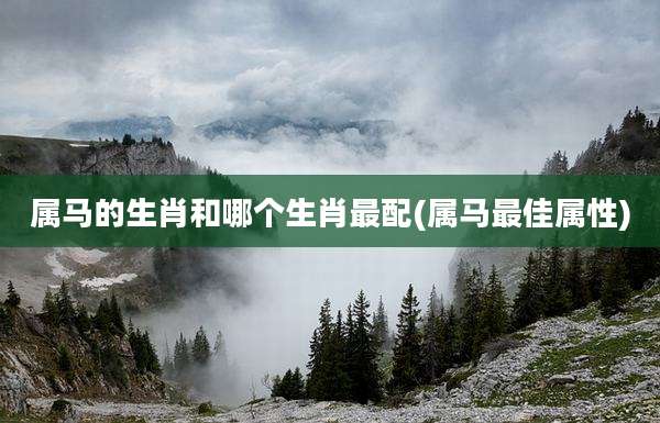 属马的生肖和哪个生肖最配(属马最佳属性)
