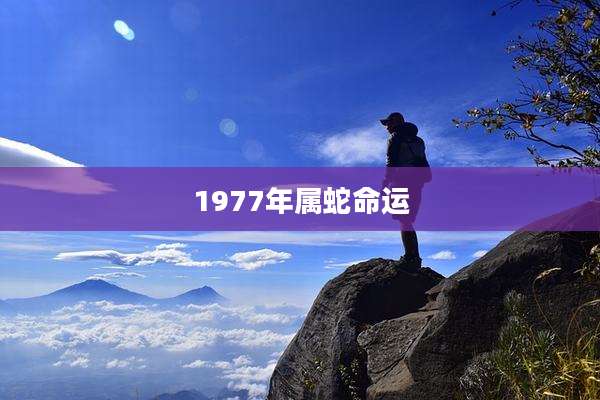1977年属蛇命运